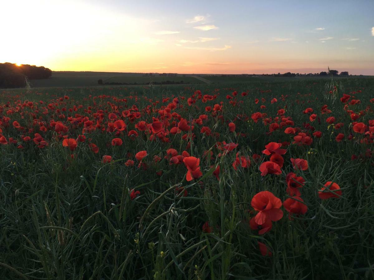 Dupres House, Chavasse Farm, Somme Battlefields Βίλα Hardecourt-aux-Bois Εξωτερικό φωτογραφία